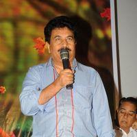 Lucky Movie Audio Launch Pictures | Picture 289048