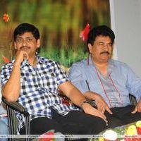 Lucky Movie Audio Launch Pictures | Picture 289059