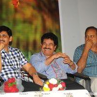 Lucky Movie Audio Launch Pictures | Picture 288959
