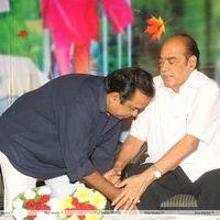 Lucky Movie Audio Launch Pictures | Picture 288965