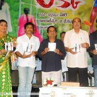 Lucky Movie Audio Launch Pictures | Picture 288987