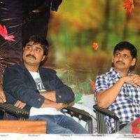 Lucky Movie Audio Launch Pictures | Picture 289116
