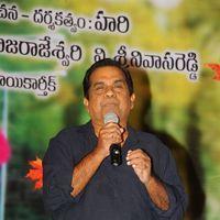 Brahmanandam - Lucky Movie Audio Launch Pictures
