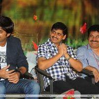 Lucky Movie Audio Launch Pictures | Picture 289123