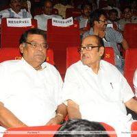 Krishnam Vande Jagadgurum Movie Audio Launch Pictures | Picture 292475