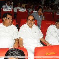 Krishnam Vande Jagadgurum Movie Audio Launch Pictures | Picture 292492