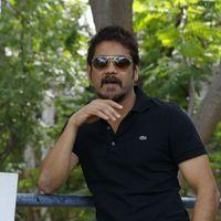 Nagarjuna Latest Stills | Picture 295647