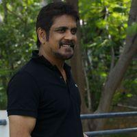 Nagarjuna Latest Stills | Picture 295712