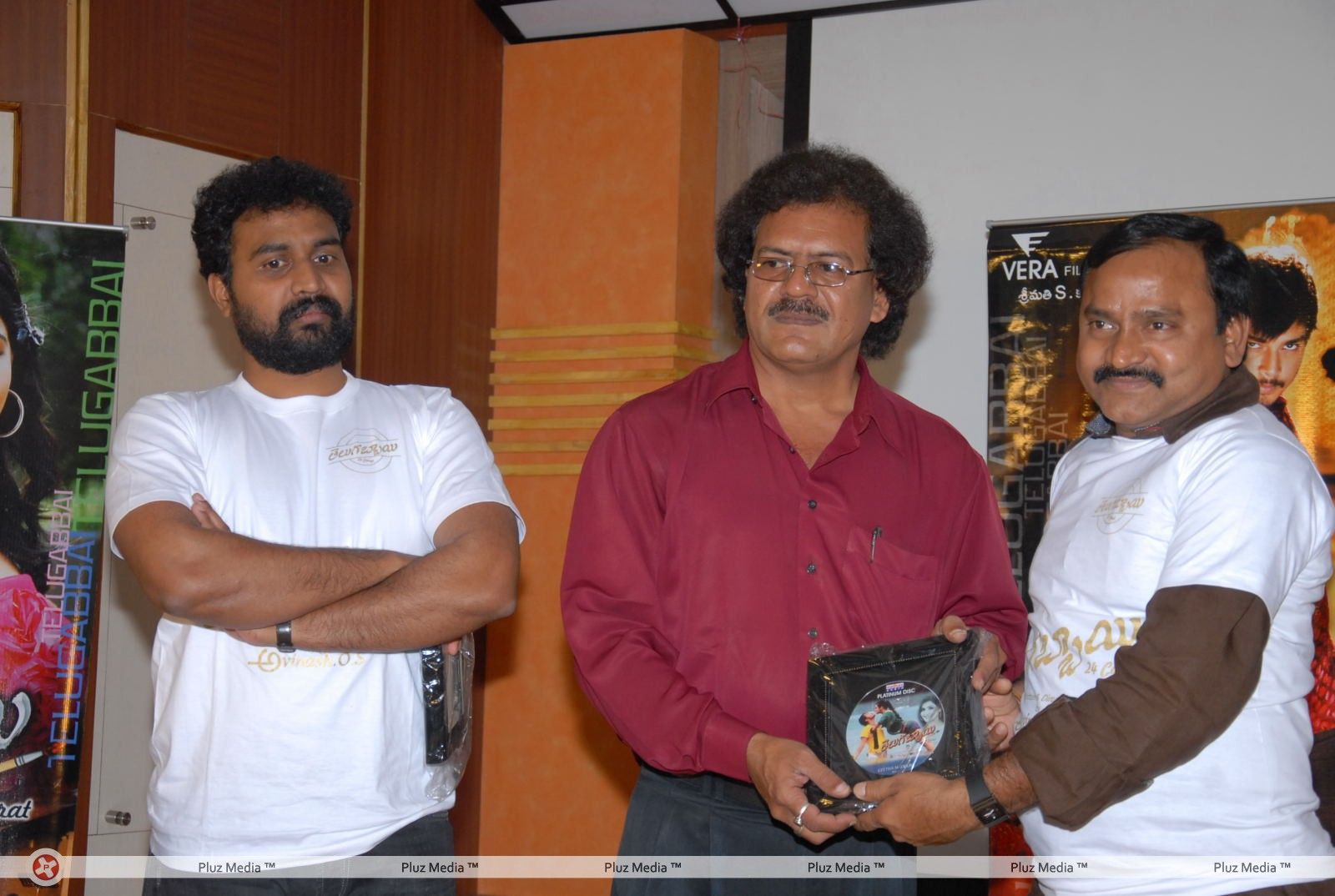 Telugu Abbai Platinum Disc Pictures | Picture 295378