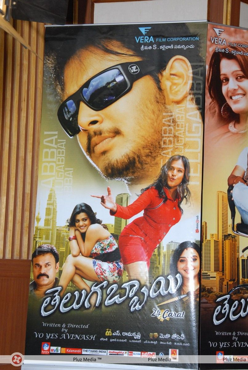 Telugu Abbai Platinum Disc Pictures | Picture 295390