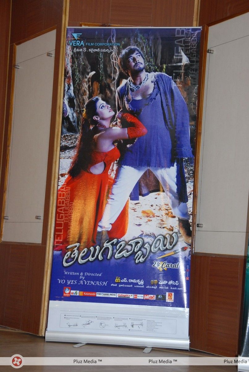 Telugu Abbai Platinum Disc Pictures | Picture 295403