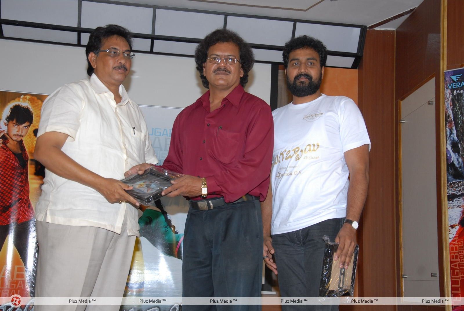 Telugu Abbai Platinum Disc Pictures | Picture 295405
