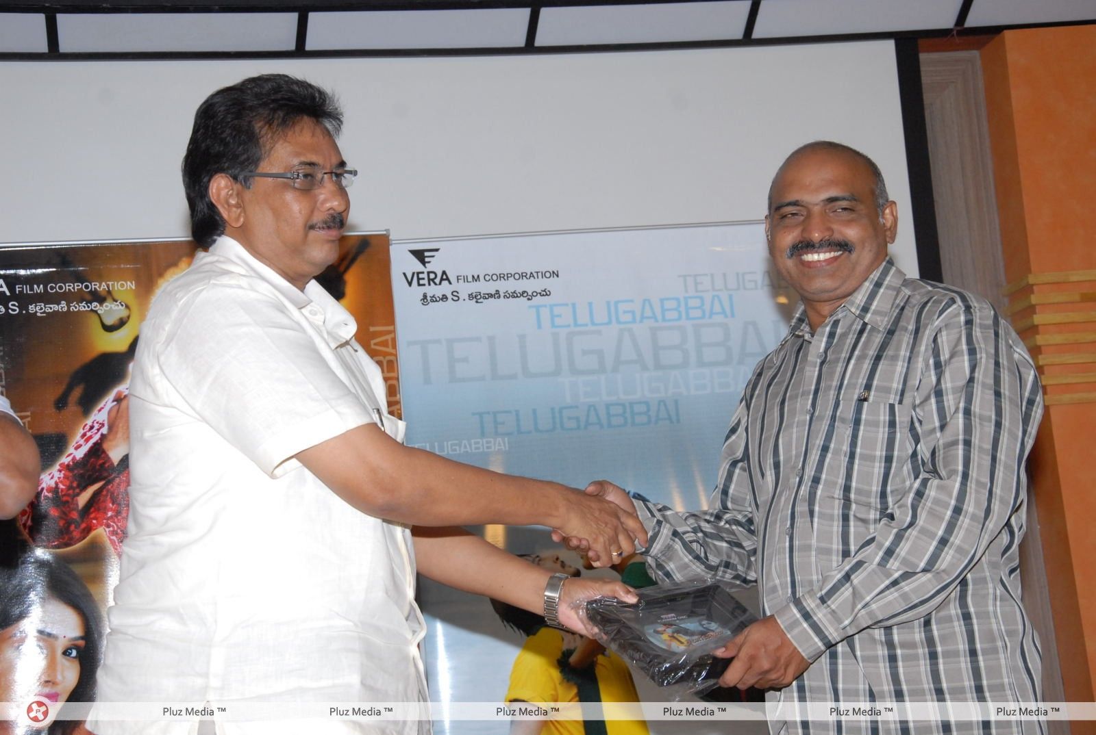 Telugu Abbai Platinum Disc Pictures | Picture 295411