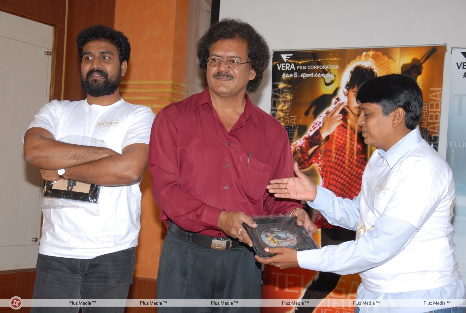 Telugu Abbai Platinum Disc Pictures | Picture 295423
