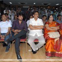 Telugu Abbai Platinum Disc Pictures | Picture 295346