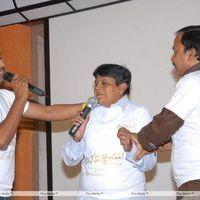 Telugu Abbai Platinum Disc Pictures | Picture 295350