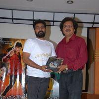 Telugu Abbai Platinum Disc Pictures | Picture 295376