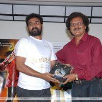 Telugu Abbai Platinum Disc Pictures | Picture 295379