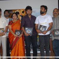Telugu Abbai Platinum Disc Pictures | Picture 295389