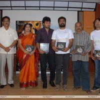 Telugu Abbai Platinum Disc Pictures | Picture 295398