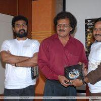 Telugu Abbai Platinum Disc Pictures | Picture 295402