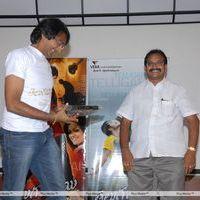 Telugu Abbai Platinum Disc Pictures | Picture 295404