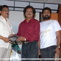 Telugu Abbai Platinum Disc Pictures | Picture 295409