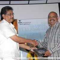 Telugu Abbai Platinum Disc Pictures | Picture 295411