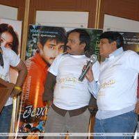 Telugu Abbai Platinum Disc Pictures | Picture 295424