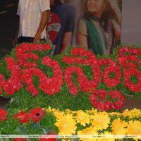 Bus Stop Movie Audio Launch Pictures | Picture 297374