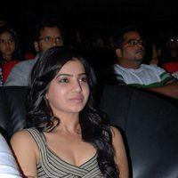 Samantha Stills at Bus Stop Audio Release | Picture 297188