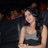 Samantha Stills at Bus Stop Audio Release | Picture 297244
