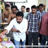 Ntr - Dil Raju New Movie Pooja Pictures | Picture 301850
