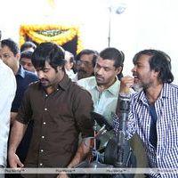 Ntr - Dil Raju New Movie Pooja Pictures | Picture 301858
