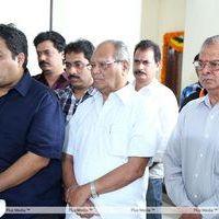 Ntr - Dil Raju New Movie Pooja Pictures | Picture 301875
