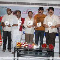 Love 2 Love Audio Launch Pictures | Picture 302036
