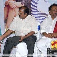 Love 2 Love Audio Launch Pictures | Picture 302047