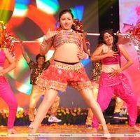 Swetha Basu Prasad - Genius Telugu Movie Audio Launch Pictures | Picture 304942