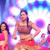 Swetha Basu Prasad - Genius Telugu Movie Audio Launch Pictures | Picture 304949