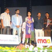 Genius Telugu Movie Audio Launch Pictures