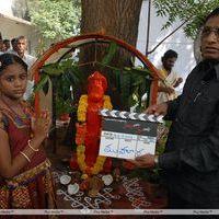 Nuvvu Sarigama Nenu Padanisa Movie Opening Pictures | Picture 305818