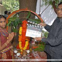Nuvvu Sarigama Nenu Padanisa Movie Opening Pictures | Picture 305850