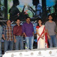 Mallela Theram Movie Press Meet Pictures | Picture 307200