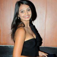 Nikitha Narayan Hot at Miss Hyderabad Fashion Show Stills | Picture 307396