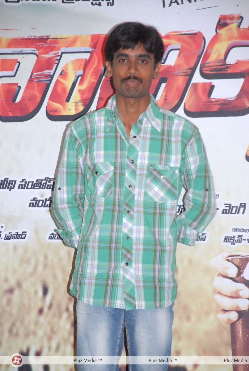 Chanikyudu Audio Launch Function Pictures | Picture 266889