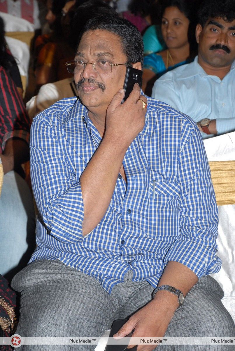 Chanikyudu Audio Launch Function Pictures | Picture 266951