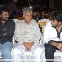 Chanikyudu Audio Launch Function Pictures | Picture 266901