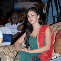 Amy Jackson at Siva Thandavam Audio Release Pictures | Picture 273280