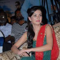 Amy Jackson at Siva Thandavam Audio Release Pictures | Picture 273324