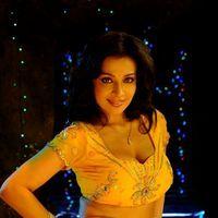 Asha Saini Hot Stills from Song | Picture 275428
